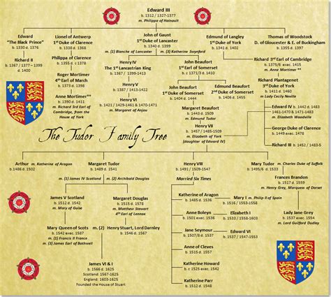 genealogy of tudor dynasty|tudor family tree identification.